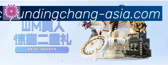 未来规划