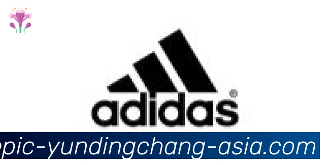云顶娱乐场合作伙伴